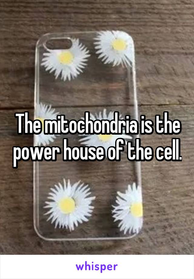 The mitochondria is the power house of the cell.