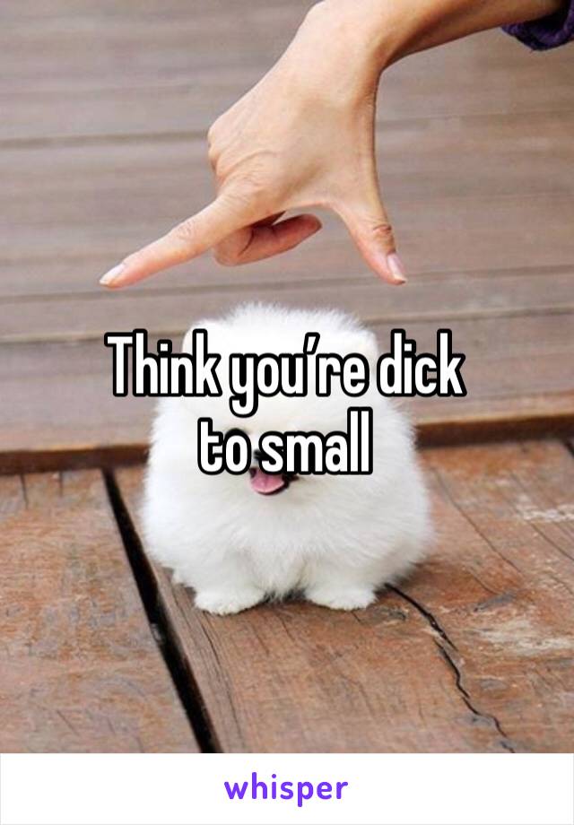Think you’re dick to small
