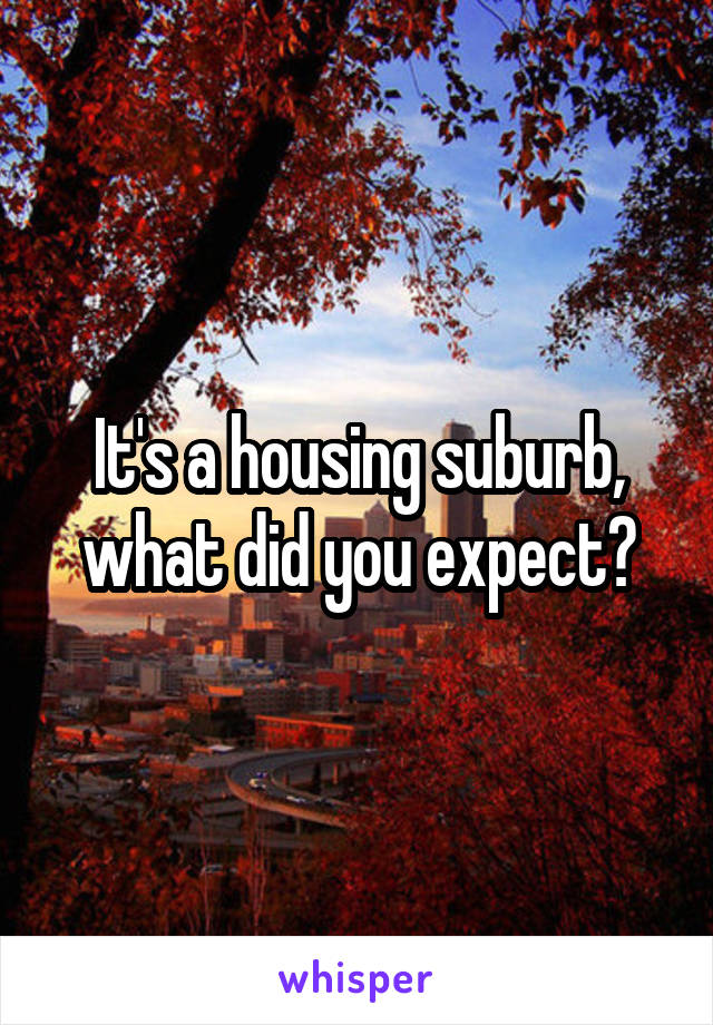 It's a housing suburb, what did you expect?