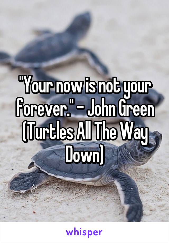"Your now is not your forever." - John Green (Turtles All The Way Down)