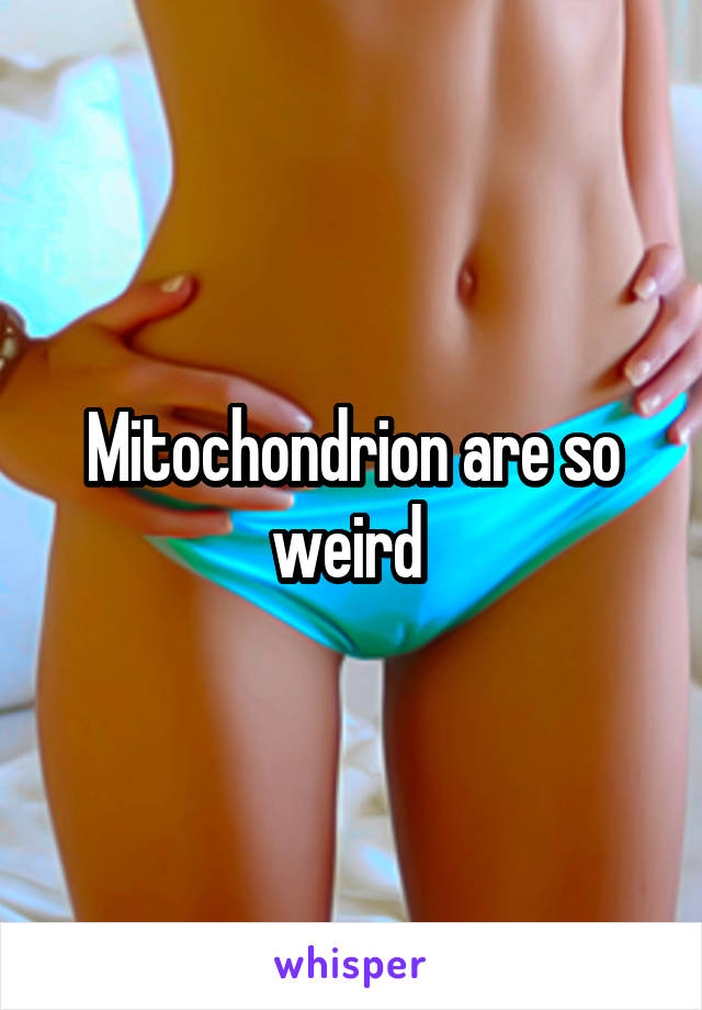 Mitochondrion are so weird 