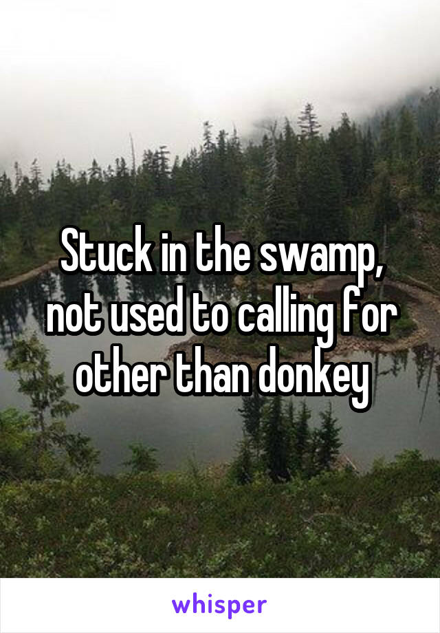 Stuck in the swamp, not used to calling for other than donkey