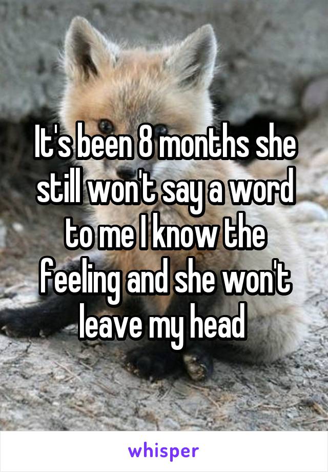 It's been 8 months she still won't say a word to me I know the feeling and she won't leave my head 