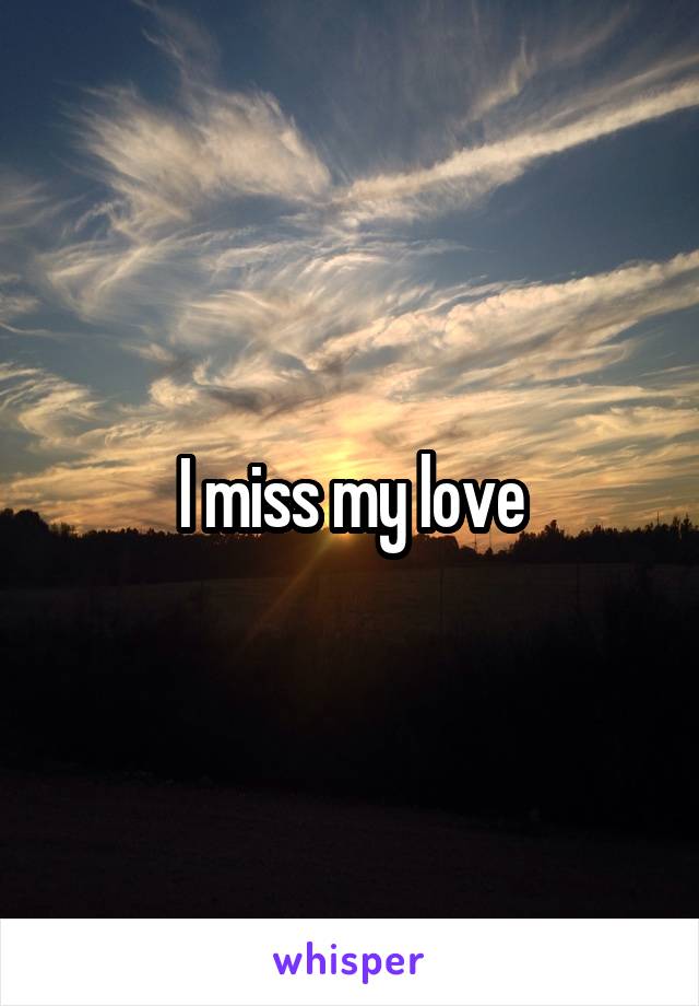 I miss my love