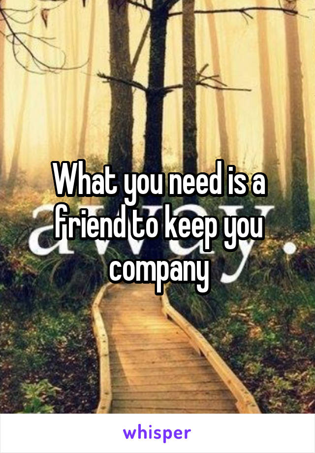 What you need is a friend to keep you company