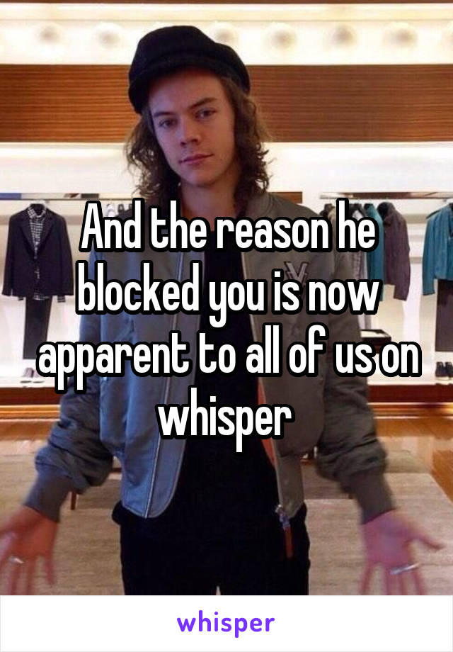 And the reason he blocked you is now apparent to all of us on whisper 