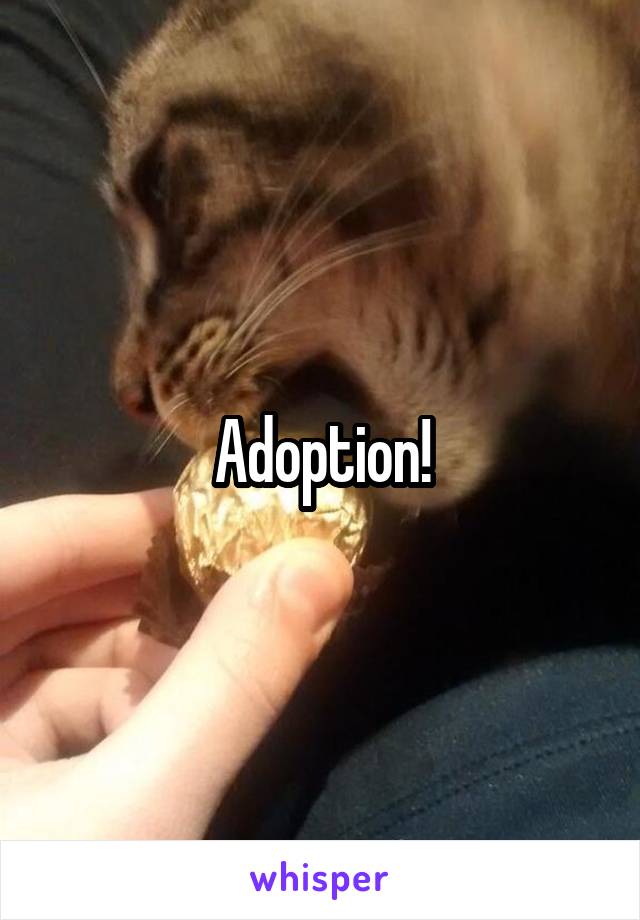 Adoption!