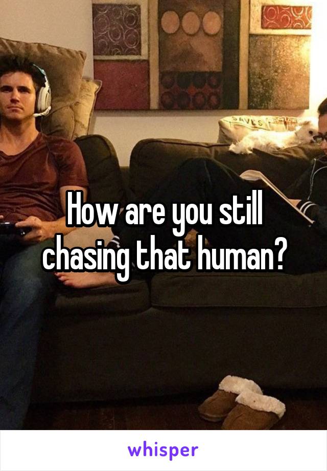 How are you still chasing that human?