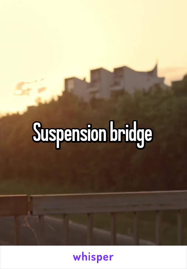Suspension bridge 
