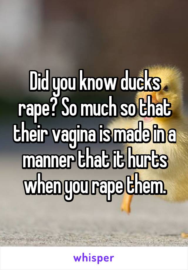 Did you know ducks rape? So much so that their vagina is made in a manner that it hurts when you rape them.