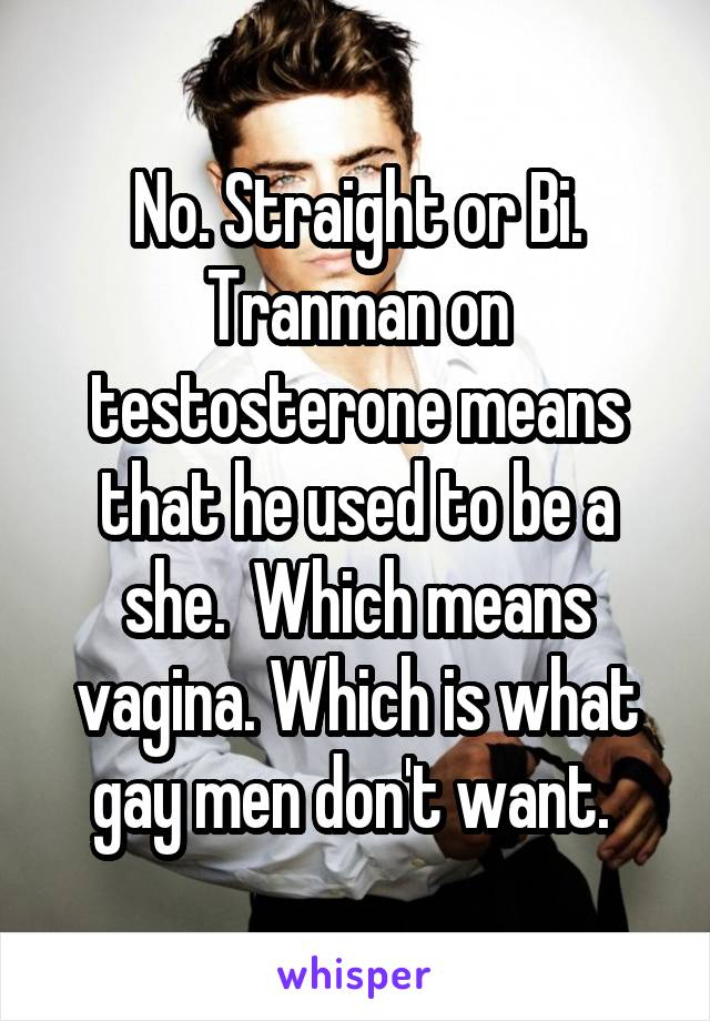 No. Straight or Bi. Tranman on testosterone means that he used to be a she.  Which means vagina. Which is what gay men don't want. 