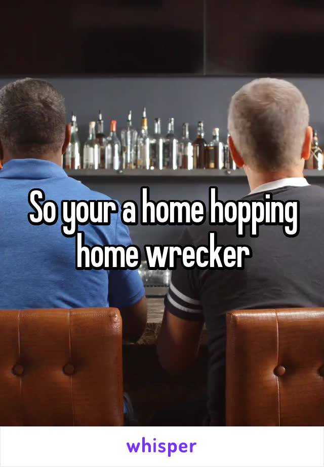So your a home hopping home wrecker