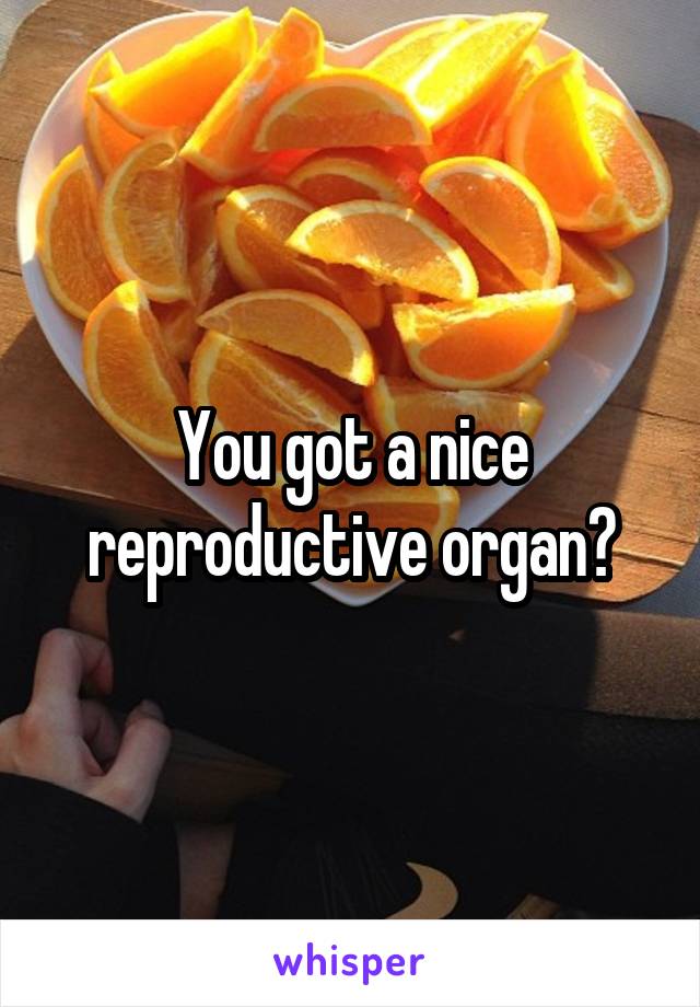 You got a nice reproductive organ?