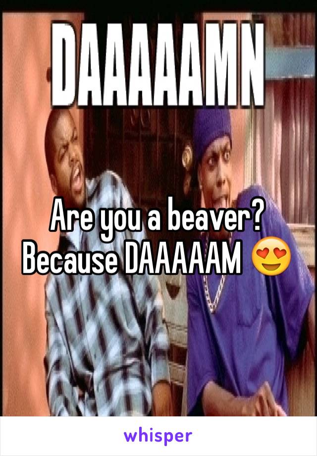 Are you a beaver? Because DAAAAAM 😍