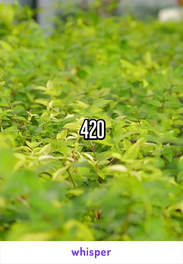 420