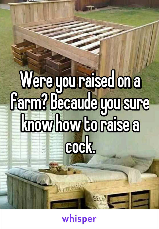 Were you raised on a farm? Becaude you sure know how to raise a cock.