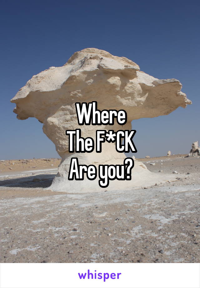 Where
The F*CK
Are you?