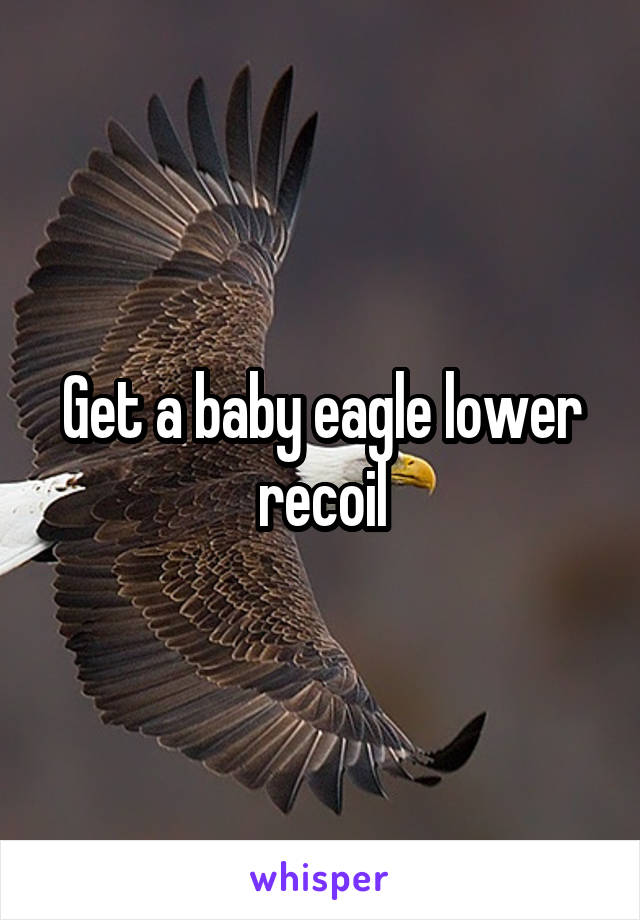 Get a baby eagle lower recoil