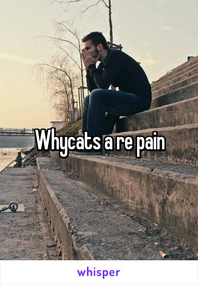 Whycats a re pain