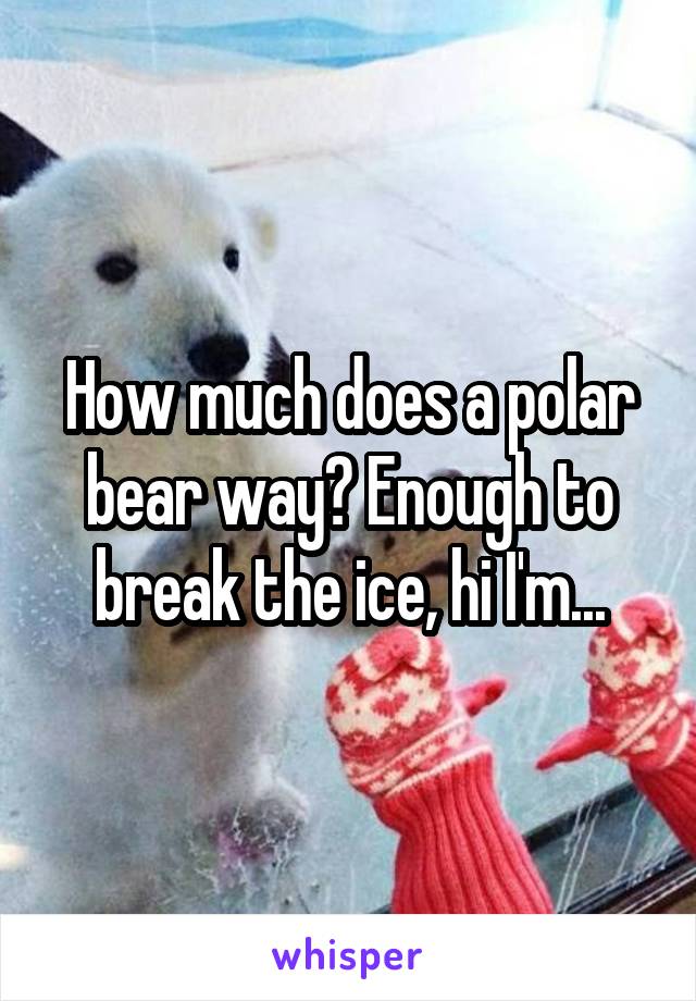 How much does a polar bear way? Enough to break the ice, hi I'm...