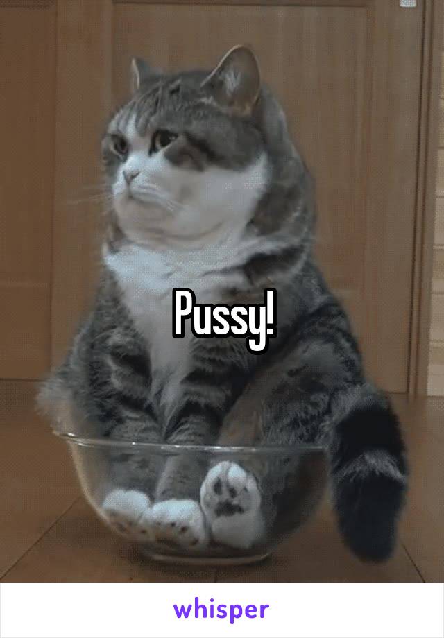 Pussy!