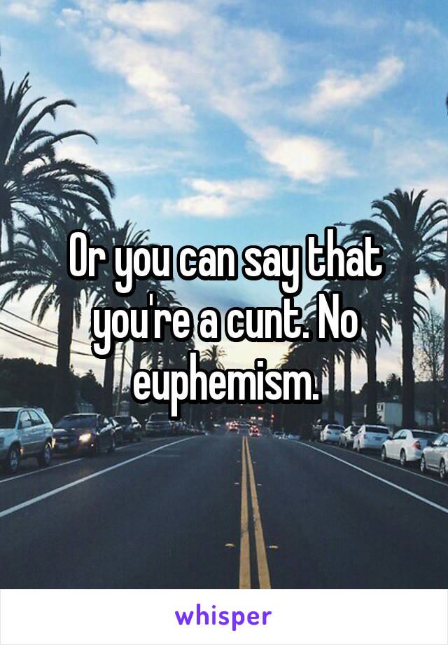 Or you can say that you're a cunt. No euphemism.