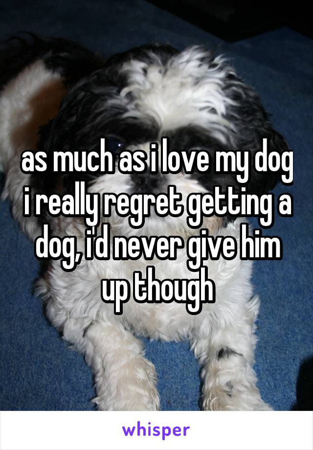 as much as i love my dog i really regret getting a dog, i'd never give him up though