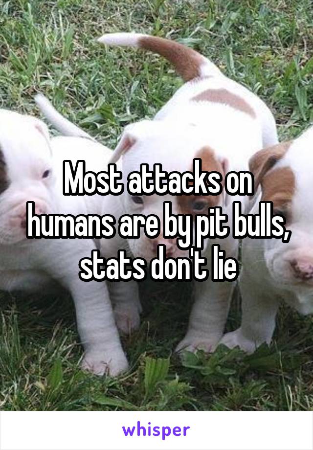 Most attacks on humans are by pit bulls, stats don't lie