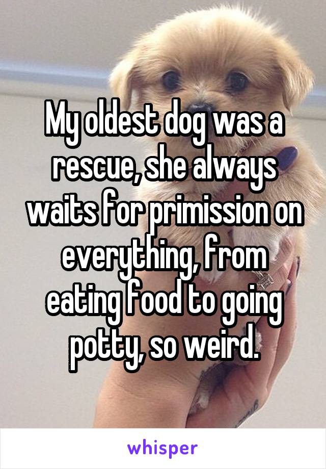 My oldest dog was a rescue, she always waits for primission on everything, from eating food to going potty, so weird.