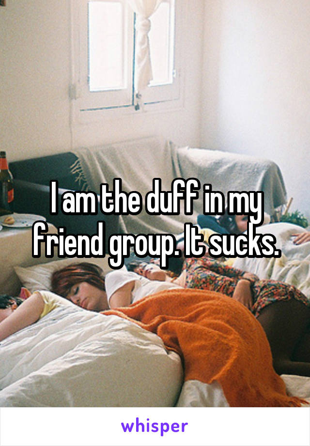 I am the duff in my friend group. It sucks.