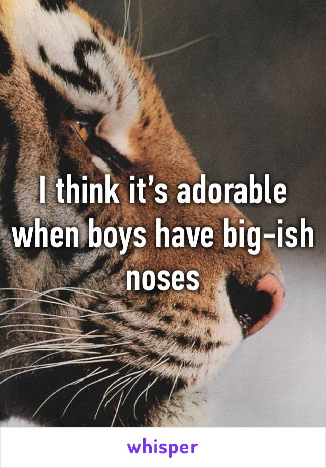 I think it’s adorable when boys have big-ish noses