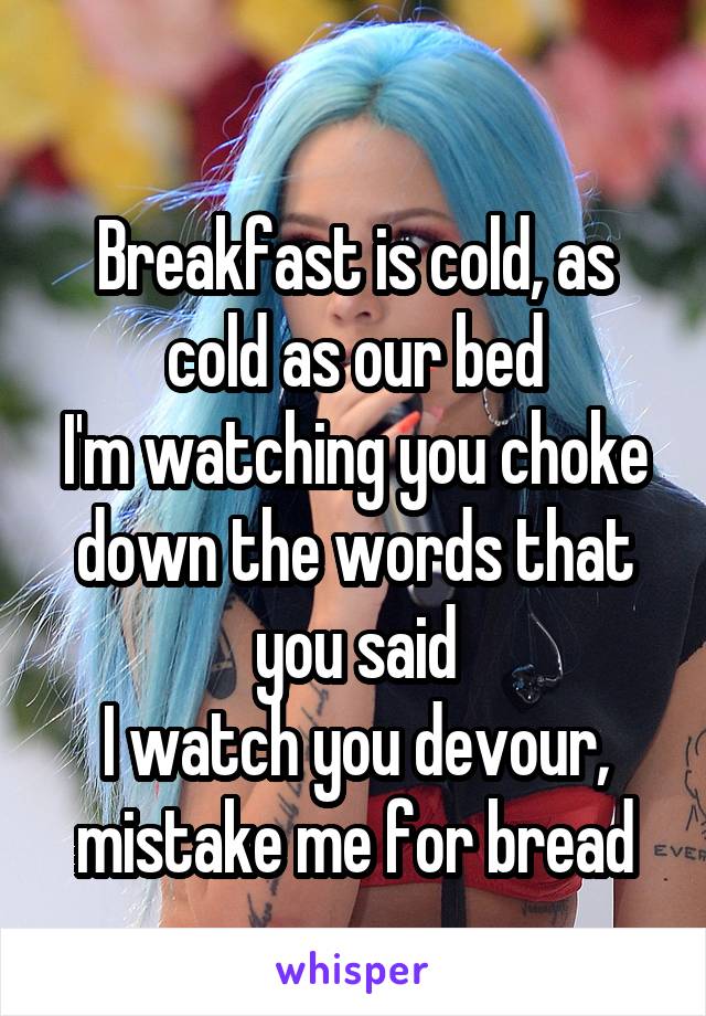 

Breakfast is cold, as cold as our bed
I'm watching you choke down the words that you said
I watch you devour, mistake me for bread
