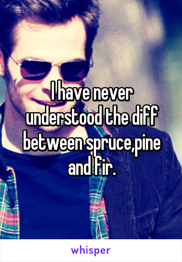 I have never understood the diff between spruce,pine and fir.
