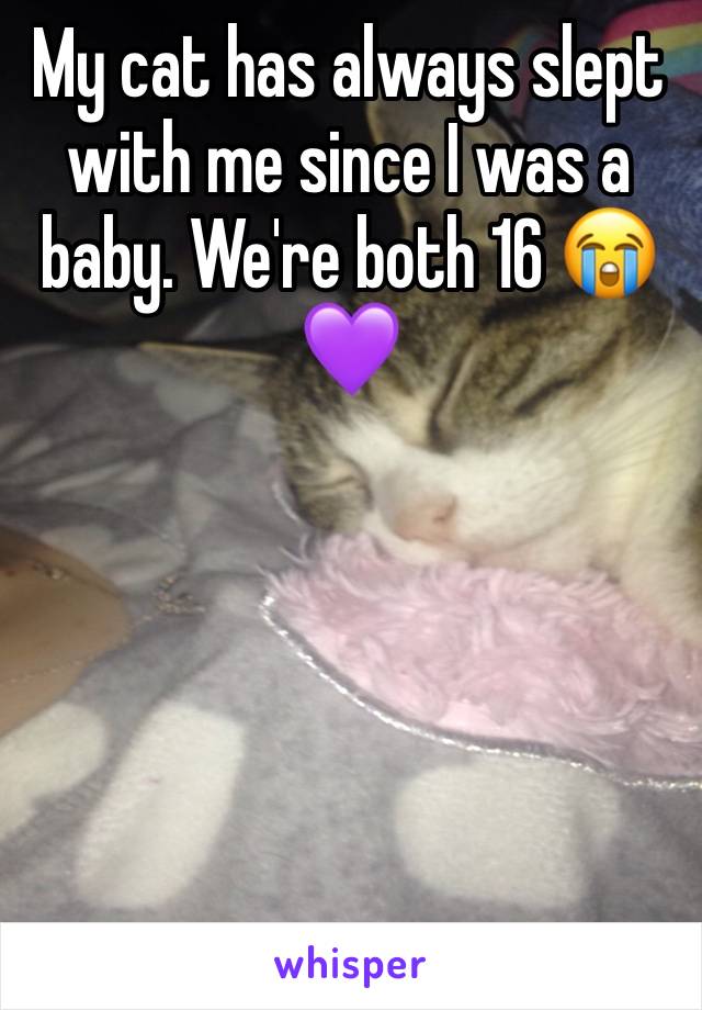 My cat has always slept with me since I was a baby. We're both 16 😭💜