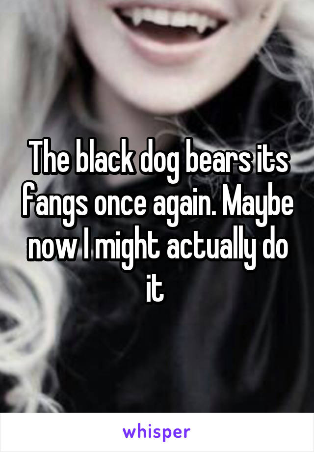 The black dog bears its fangs once again. Maybe now I might actually do it 