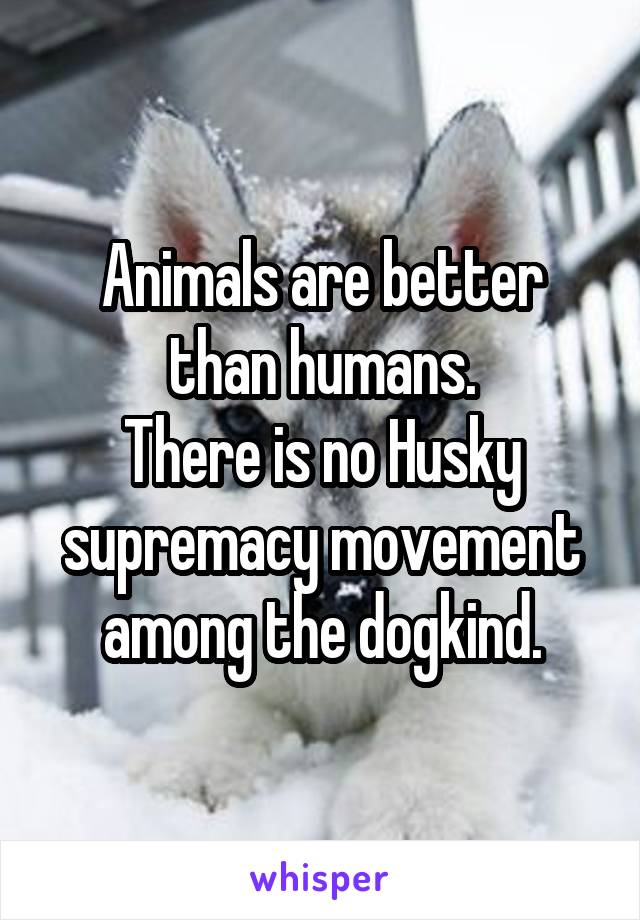 Animals are better than humans.
There is no Husky supremacy movement among the dogkind.