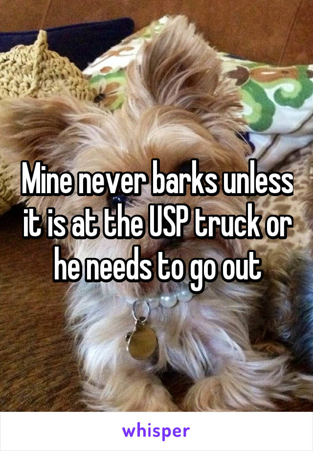 Mine never barks unless it is at the USP truck or he needs to go out