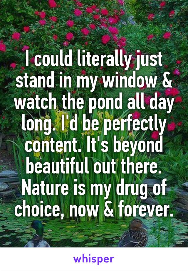 I could literally just stand in my window & watch the pond all day long. I'd be perfectly content. It's beyond beautiful out there. Nature is my drug of choice, now & forever.