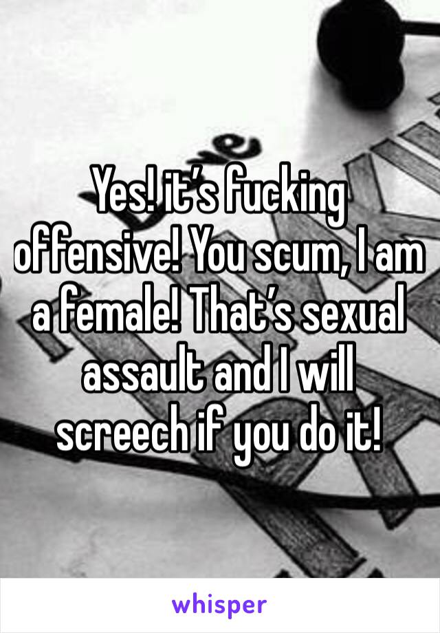 Yes! it’s fucking offensive! You scum, I am a female! That’s sexual assault and I will screech if you do it!