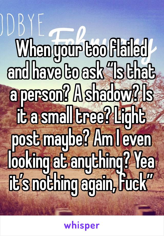 When your too flailed and have to ask “Is that a person? A shadow? Is it a small tree? Light post maybe? Am I even looking at anything? Yea it’s nothing again, fuck”