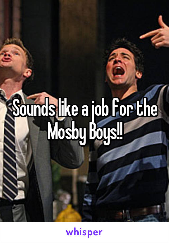 Sounds like a job for the Mosby Boys!!