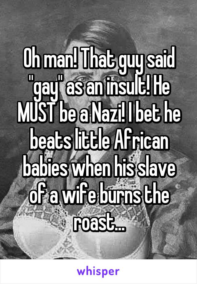 Oh man! That guy said "gay" as an insult! He MUST be a Nazi! I bet he beats little African babies when his slave of a wife burns the roast...