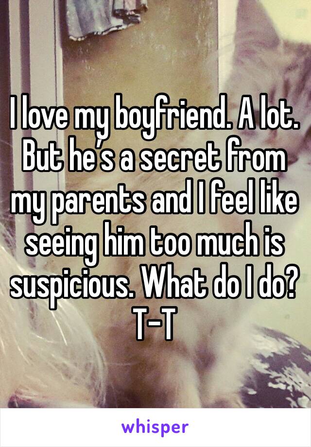 I love my boyfriend. A lot. But he’s a secret from my parents and I feel like seeing him too much is suspicious. What do I do?T-T