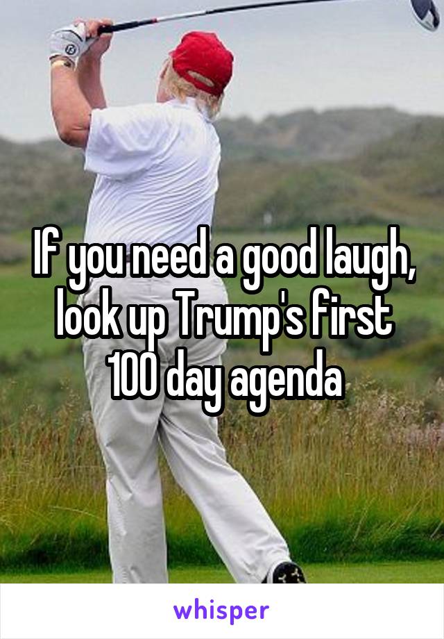 If you need a good laugh, look up Trump's first 100 day agenda