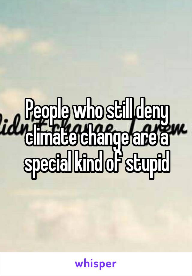 People who still deny climate change are a special kind of stupid
