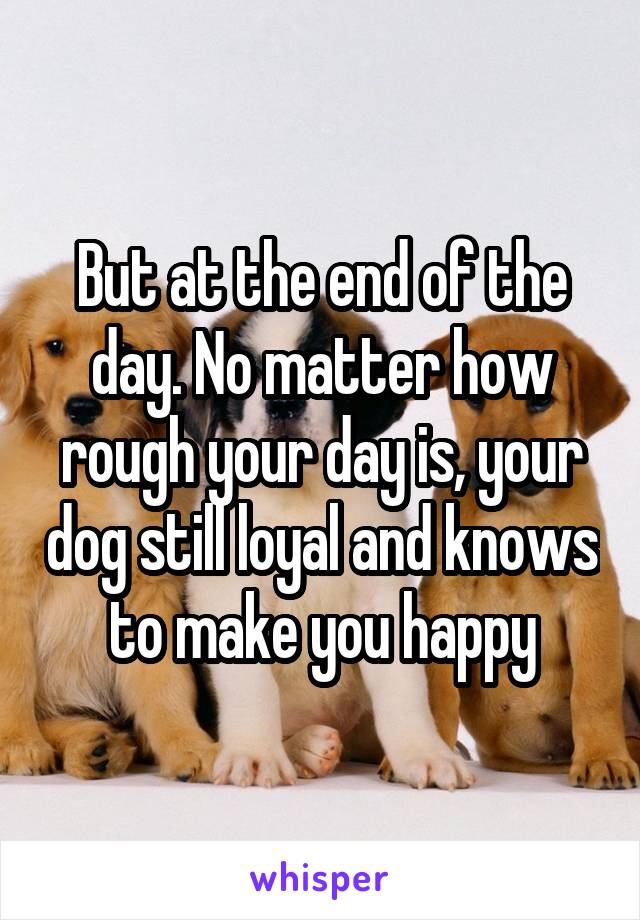 But at the end of the day. No matter how rough your day is, your dog still loyal and knows to make you happy