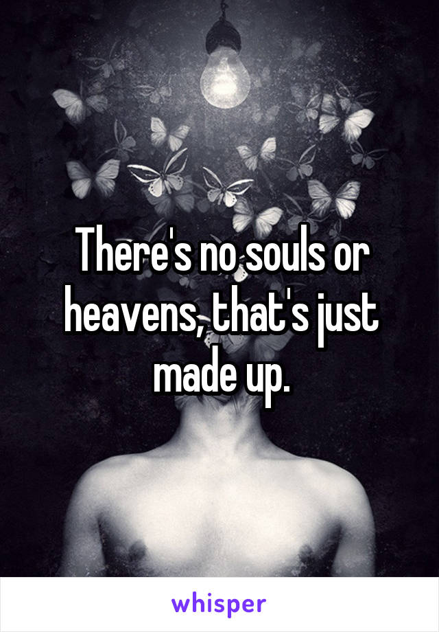 There's no souls or heavens, that's just made up.