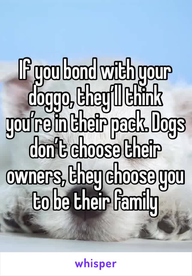 If you bond with your doggo, they’ll think you’re in their pack. Dogs don’t choose their owners, they choose you to be their family