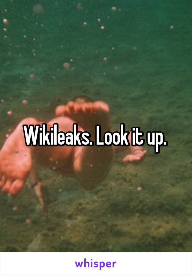 Wikileaks. Look it up. 