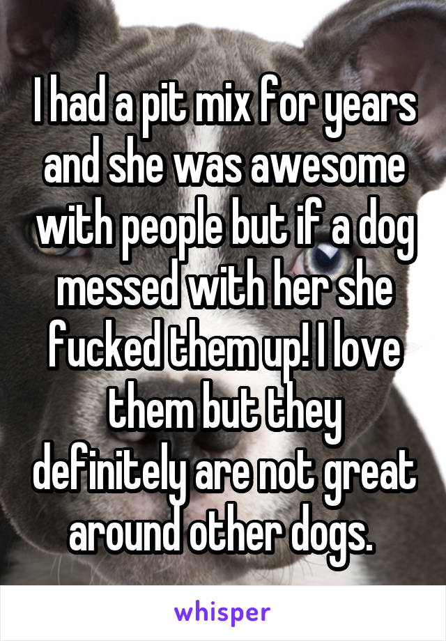 I had a pit mix for years and she was awesome with people but if a dog messed with her she fucked them up! I love them but they definitely are not great around other dogs. 
